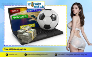 theo dõi biến động kèo